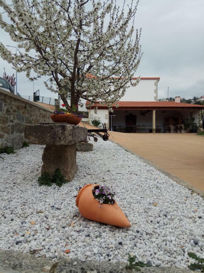 Casa Freitas Vila Paredes de Coura Exterior foto